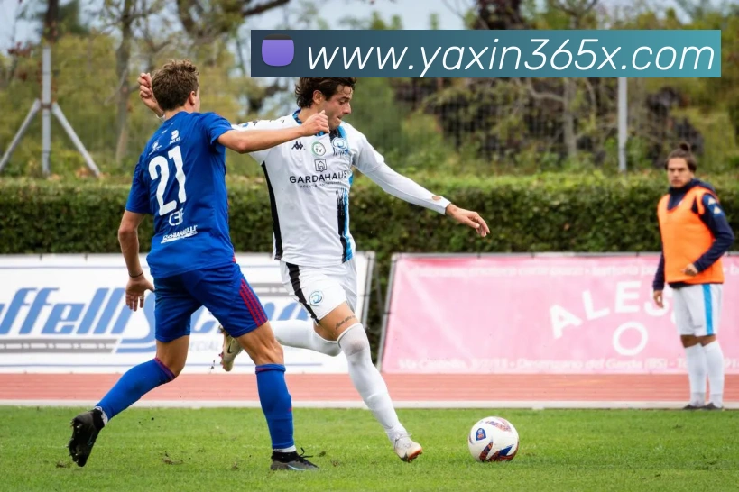 多终端兼容